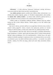 Vadovavimo veiklos analizė 11 puslapis