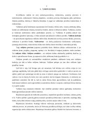 Vadovavimo veiklos analizė 3 puslapis