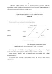 Vadovavimo veiklos analizė 5 puslapis