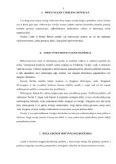 Vadovavimo veiklos analizė 6 puslapis