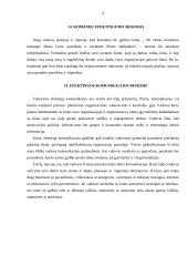 Vadovavimo veiklos analizė 9 puslapis