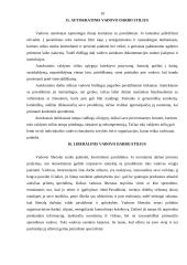 Vadovavimo veiklos analizė 10 puslapis