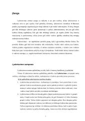 Vadovavimas ir lyderiavimas 2 puslapis
