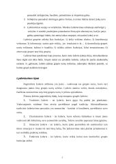 Vadovavimas ir lyderiavimas 3 puslapis