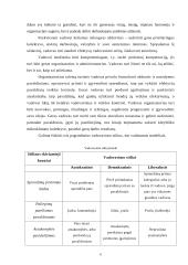 Vadovavimas ir lyderiavimas 6 puslapis