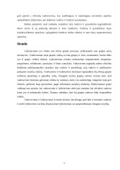 Vadovavimas ir lyderiavimas 9 puslapis