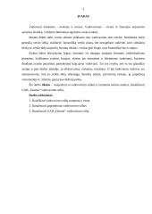 Vadovavimo stiliai įmonėje UAB „Dainiai“ 2 puslapis