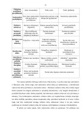 Vadovavimo stiliai įmonėje UAB „Dainiai“ 11 puslapis