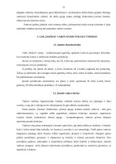 Vadovavimo stiliai įmonėje UAB „Dainiai“ 12 puslapis