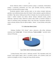 Vadovavimo stiliai įmonėje UAB „Dainiai“ 13 puslapis