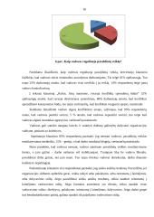 Vadovavimo stiliai įmonėje UAB „Dainiai“ 15 puslapis