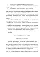 Vadovavimo stiliai įmonėje UAB „Dainiai“ 5 puslapis