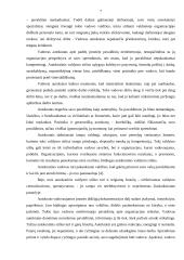 Vadovavimo stiliai įmonėje UAB „Dainiai“ 6 puslapis