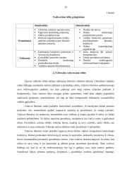 Vadovavimo stiliai įmonėje UAB „Dainiai“ 9 puslapis