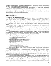 Vadovavimo stiliai reklamos ir dažų gamybos įmonėse 8 puslapis