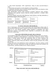Vadovavimo stilius ir elgsena 2 puslapis