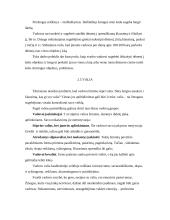 Vadovo asmenybės bruožai ir įvaizdis 12 puslapis