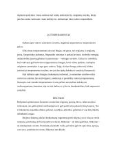 Vadovo asmenybės bruožai ir įvaizdis 13 puslapis