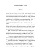 Vadovo asmenybės bruožai ir įvaizdis 7 puslapis