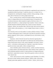 Vadovo asmenybės bruožai ir įvaizdis 9 puslapis