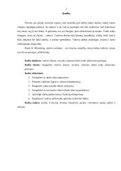 Vadovo darbo laiko planavimas 2 puslapis