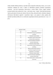 Vadovo darbo laiko planavimas 12 puslapis