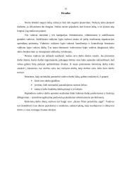 Vadovo darbo laiko planavimas 14 puslapis