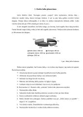 Vadovo darbo laiko planavimas 3 puslapis