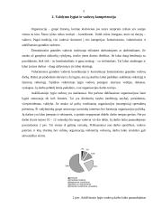 Vadovo darbo laiko planavimas 4 puslapis