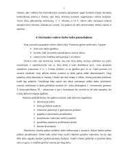 Vadovo darbo laiko planavimas 6 puslapis