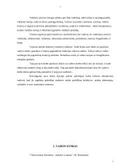 Vadovo darbo stilius 2 puslapis