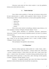 Vadovo darbo stilius 3 puslapis