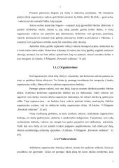 Vadovo darbo stilius 4 puslapis