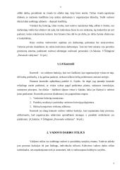 Vadovo darbo stilius 5 puslapis