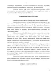 Vadovo darbo stilius 10 puslapis