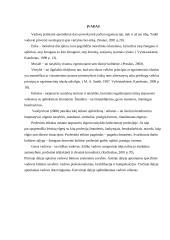 Vadovo etika 2 puslapis