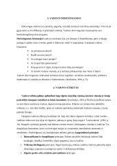 Vadovo etika 5 puslapis