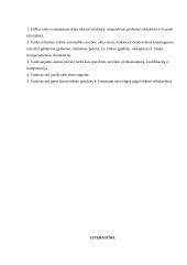 Vadovo etika 8 puslapis