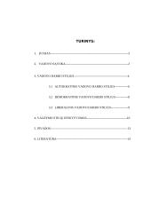 Vadovo samprata. Vadovavimo stilius