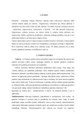 Vadovo samprata. Vadovavimo stilius 2 puslapis