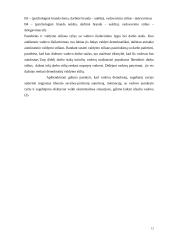 Vadovo samprata. Vadovavimo stilius 12 puslapis