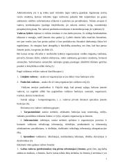 Vadovo samprata. Vadovavimo stilius 3 puslapis