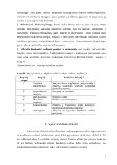 Vadovo samprata. Vadovavimo stilius 4 puslapis