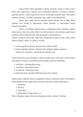 Vadovo samprata. Vadovavimo stilius 5 puslapis