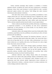 Vadovo samprata. Vadovavimo stilius 7 puslapis