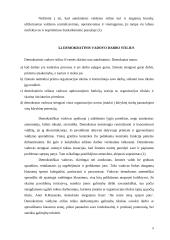 Vadovo samprata. Vadovavimo stilius 8 puslapis