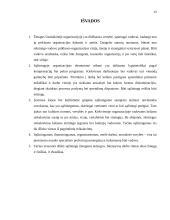 Vadovo sąžiningumas kasdieninėje įmonės veikloje 13 puslapis