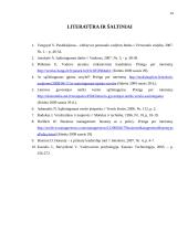 Vadovo sąžiningumas kasdieninėje įmonės veikloje 14 puslapis