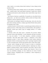 Vadovo stilius 11 puslapis