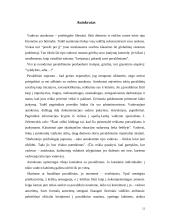 Vadovo stilius 12 puslapis